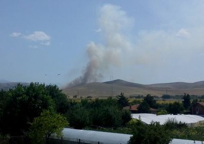 Локализираха пожара на Бесапарските ридове СНИМКА