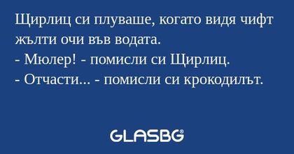 Щирлиц си плуваше, когато видя...