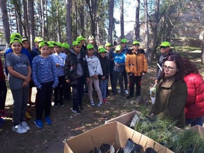 Кюстендил: По повод Седмицата на гората в Дупница се организира инициативата „Ден на отворените врати”