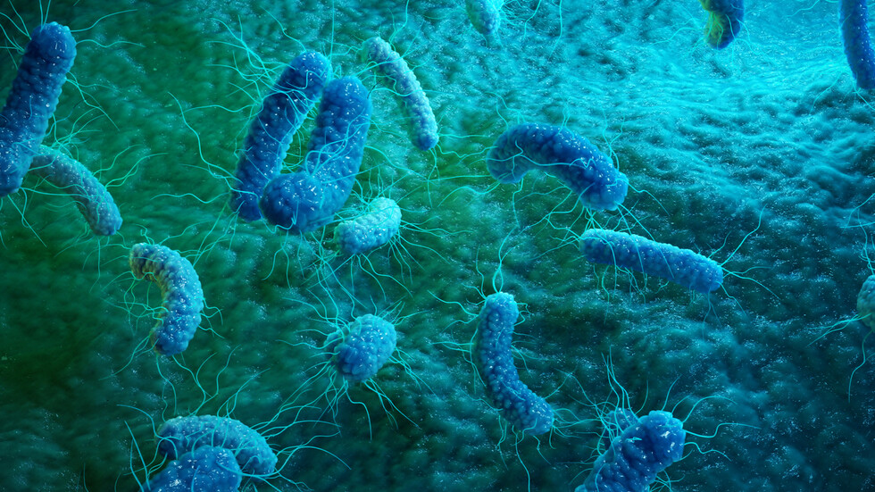 Учени откриха бактерии, хранещи се с петрол