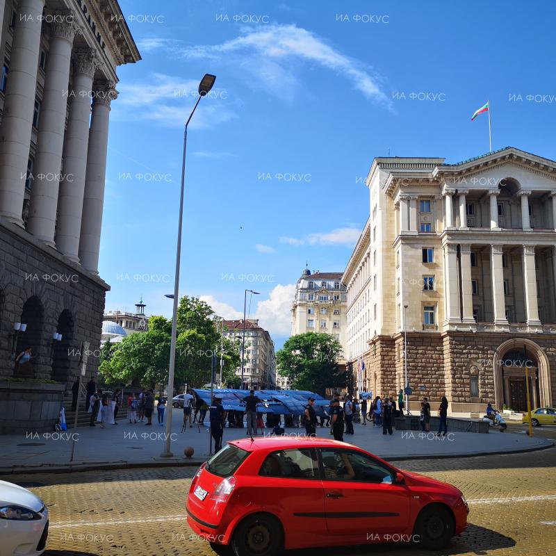 София: Протест за забрана на фермите за ценни кожи се провежда пред Министерски съвет