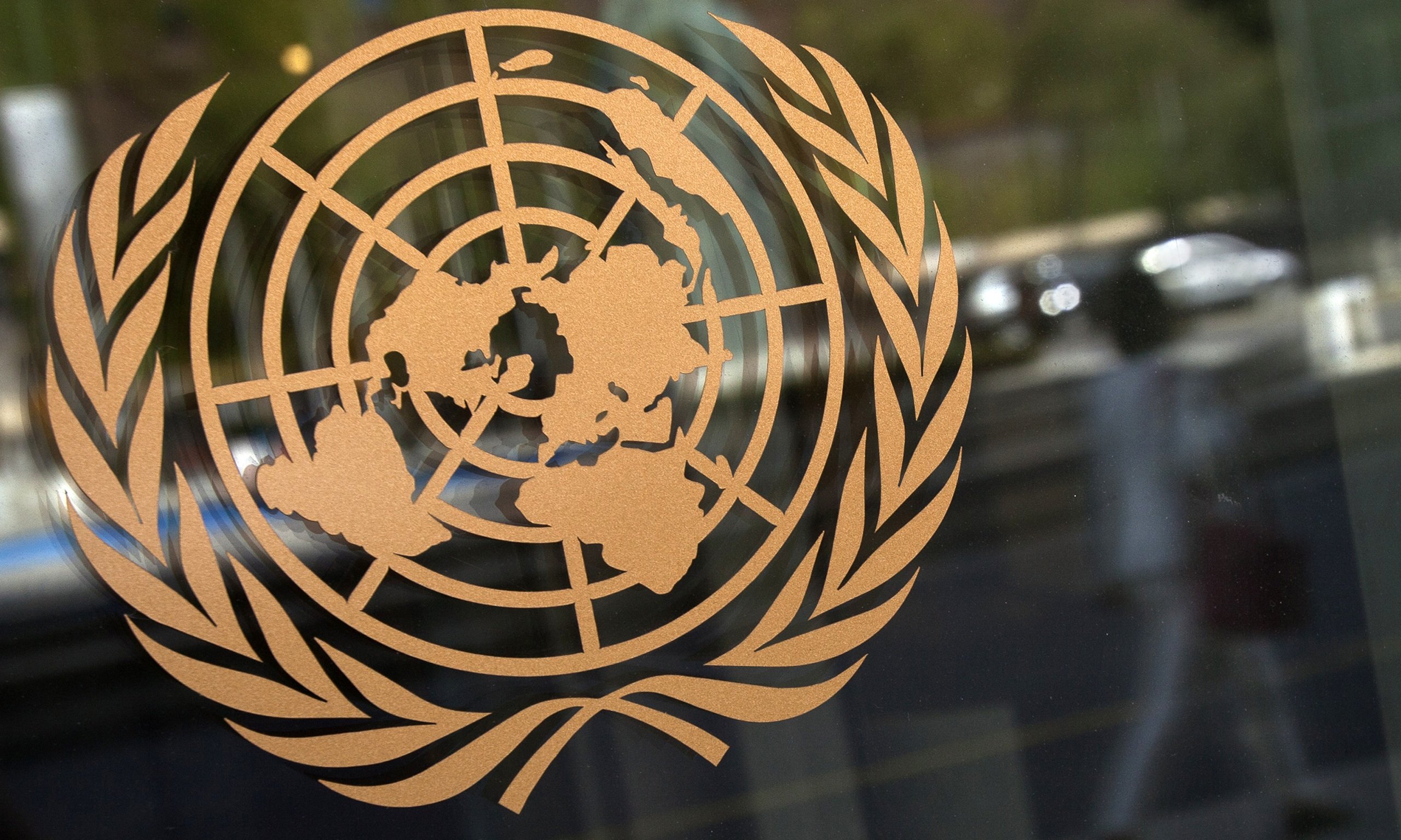 Пловдивчанка съди България в ООН