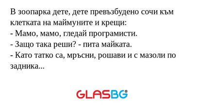 В зоопарка дете, дете превъзбудено...