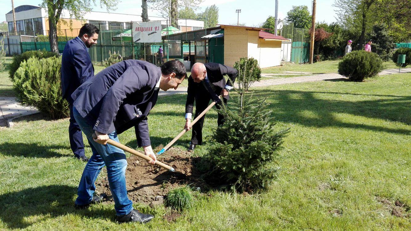 Кметът захвана борова горичка на Гребната