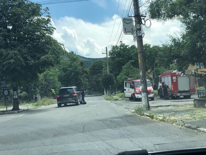 ИЗВЪНРЕДНО! Гората над Марково е в пламъци, в селото пълно с пожарникари (СНИМКИ)
