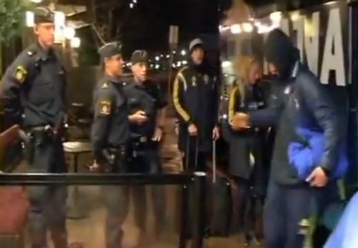 Полиция причака Ибрахимович след мача с Дания (ВИДЕО)