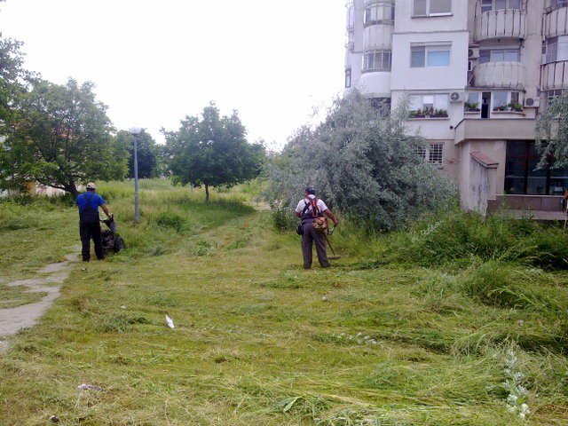 Пръскат тревните площи срещу комари