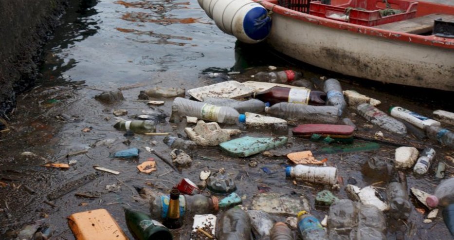 Природозащитници ще почистват водни площи край Варна