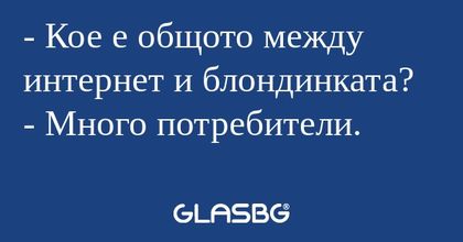 Кое е общото между интернет и...