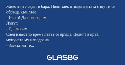 Животните седят в бара. Пиян заек...