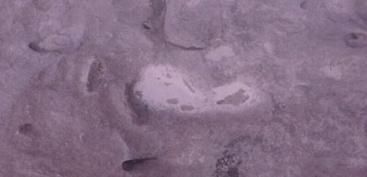 Откриха 800 000-годишна човешка следа в африканската пустиня