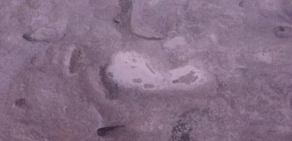 Откриха 800 000-годишна човешка следа в африканската пустиня