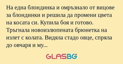 На една блондинка и омръзнало от...
