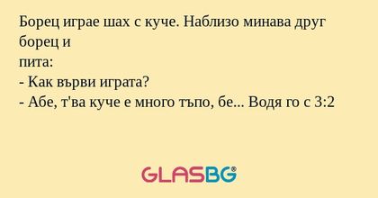 Борец играе шах с куче. Наблизо...