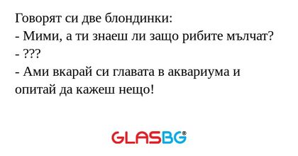 Говорят си две блондинки: - Мими...