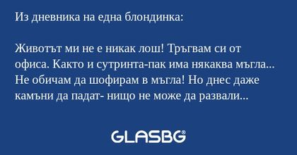 Из дневника на една блондинка...