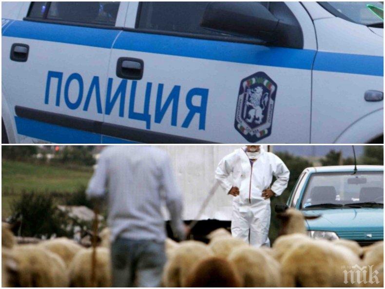 ИЗВЪНРЕДНО! Става страшно! Полиция заварди Шипка и Прохода на републиката заради чумата