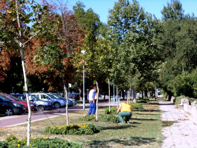 Нова поливна система заработи на бул. „Марица-юг“ СНИМКИ