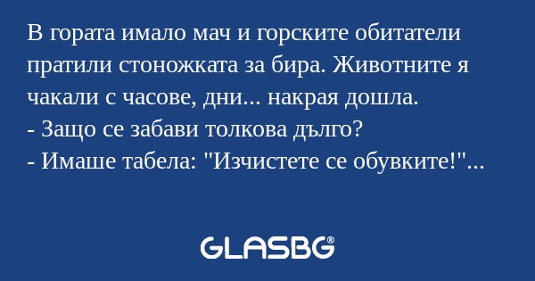 В гората имало мач и горските обитатели...