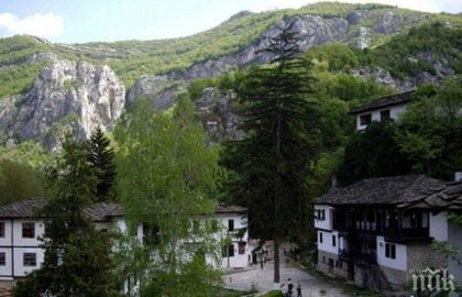УДАРИХМЕ ДЪНОТО! Обраха Черепишкия манастир