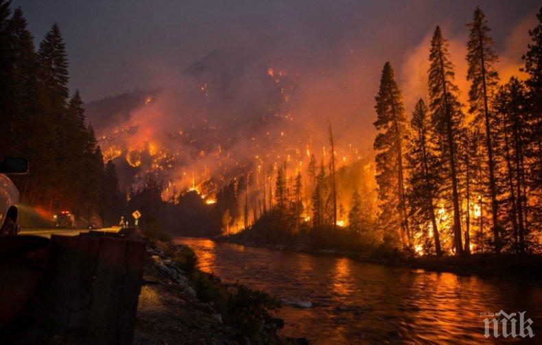 Жертвите на пожара в Северна Калифорния достигна 71 души, над 1000 са изчезнали