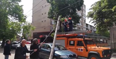 Дърво падна върху кола в Монтана