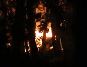 Огнеборци гасят пожар, обхванал над 500 дка край Хасковско