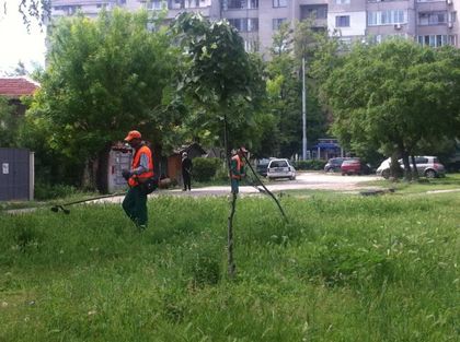 20 бригади се борят с бурените