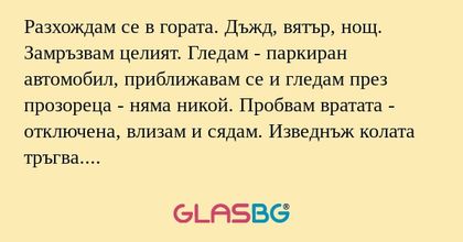 Разхождам се в гората. Дъжд, вятър...