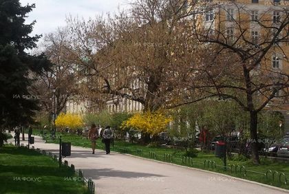 Пловдив: Най-добрите жилищни имоти в града от последната година ще бъдат показани в изложба в Цар-Симеоновата градина