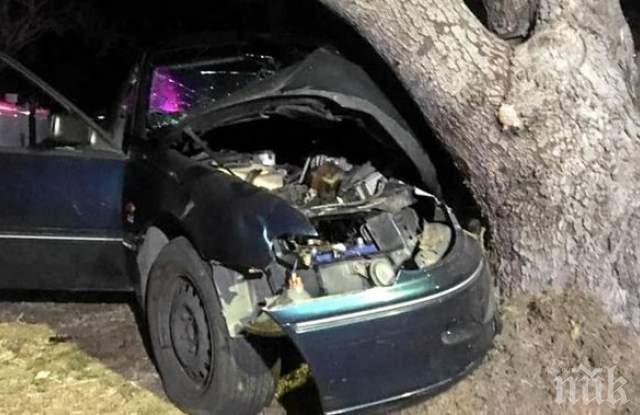 Пияна пловдивчанка разби колата си в дърво на Пещерско