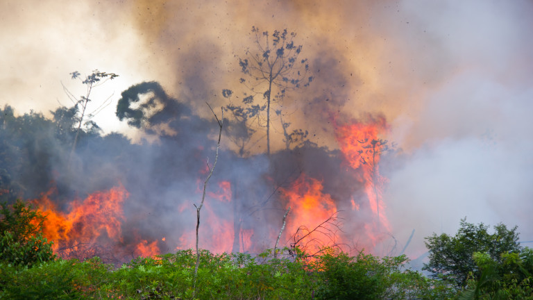 Заради пожарите Бразилия - искат оставката на президента на