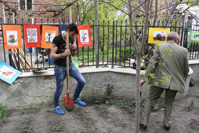 Подаряват фиданки в Дирекцията по Горите