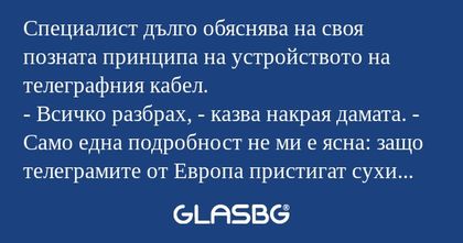 Специалист дълго обяснява на своя...