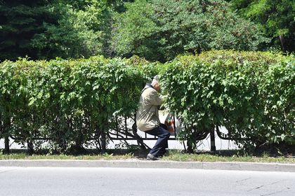В Пловдив: Този дядо с бастун в ръка, опита да погуби не само себе си СНИМКИ