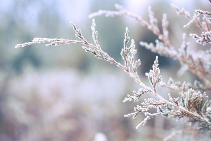 НИМХ: Ще бъде облачно с максималните температури между 0° и 5°, по морския бряг до 10°