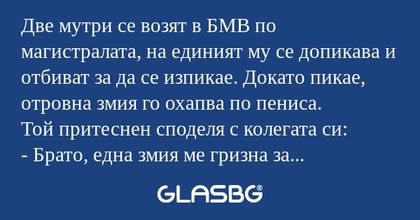 Две мутри се возят в БМВ по магистралата...