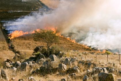 Пожар избухна в гориста местност над курорта