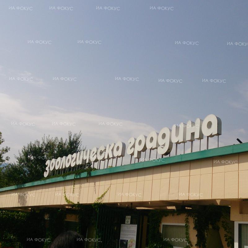 Арх. Добромир Бориславов, Столичен зоопарк: Следващата година ще предложим увеличение на цената на билетите от 4 на 6 лева