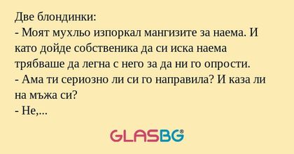 Две блондинки: - Моят мухльо изпоркал...