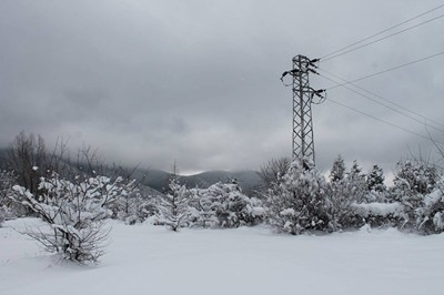 Българската енергийна борса започва работа в реално време от днес