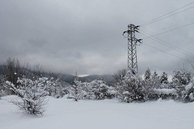 Българската енергийна борса започва работа в реално време от днес