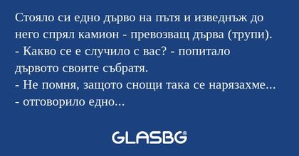 Стояло си едно дърво на пътя и...