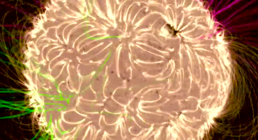 Уникални магнитни вихри на Слънцето омагьосват в клип на НАСА (ВИДЕО)