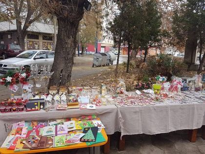 Пазарджик: Природозащитници провеждат Благотворителен базар за набиране на средства за бездомни животни