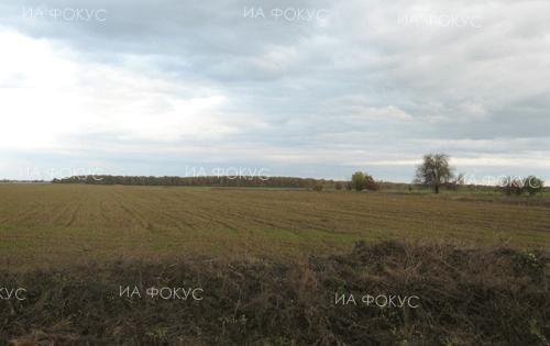 Бистра Кесякова, ОДБХ – Бургас: Вятърът води до лошото състояние на есенниците, а липсата на сняг ги излага риск от измръзване