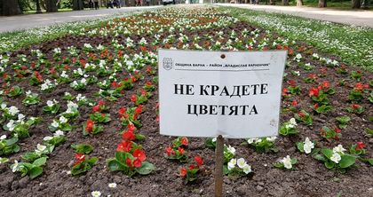 Във Варна е така: Ето каква табела сложиха на цветята по Алеята на възрожденците в Морската градина (снимки)