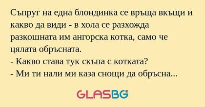 Съпруг на една блондинка се връща...