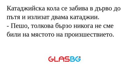 Катаджийска кола се забива в дърво...