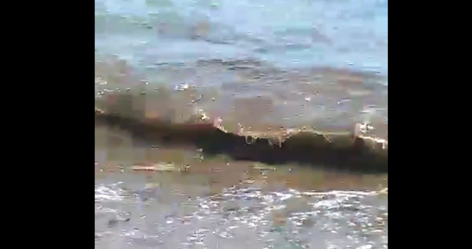 Сигнал от Варна: На плажа между Първа и Втора буна водата е кафява... И смърди ужасно! (видео)